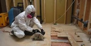 Floorboards Being Removed Due To Mold Infestation