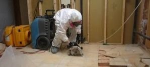 Moldy Floor Restoration Job