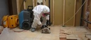 Technician Repairing Flooded Downstairs